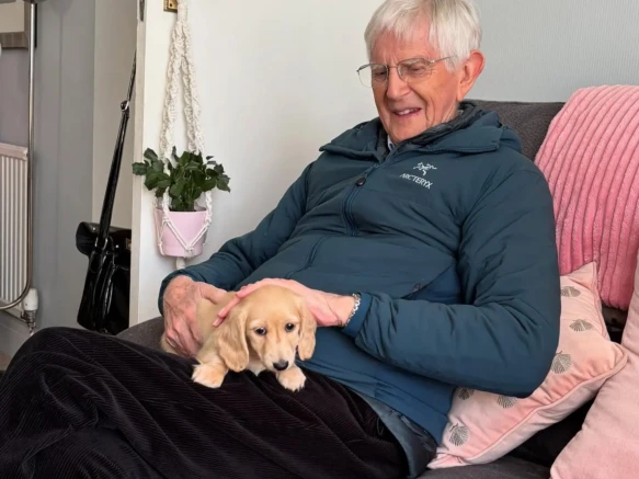 {{brizy_dc_image_alt imageSrc=