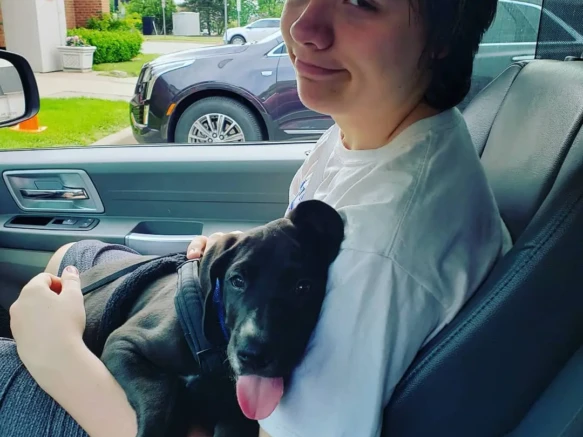 {{brizy_dc_image_alt imageSrc=