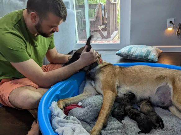 {{brizy_dc_image_alt imageSrc=