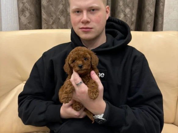 {{brizy_dc_image_alt imageSrc=