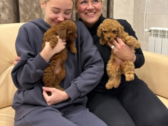 {{brizy_dc_image_alt imageSrc=